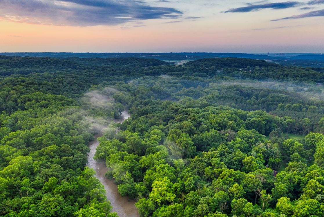River winding through a green forest